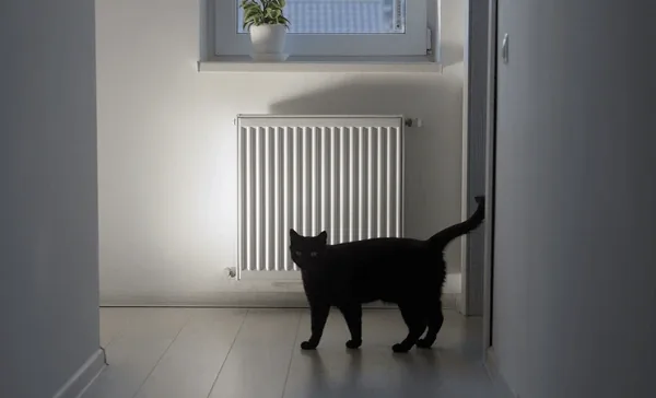 Step-By-Step Diy Installation Guide