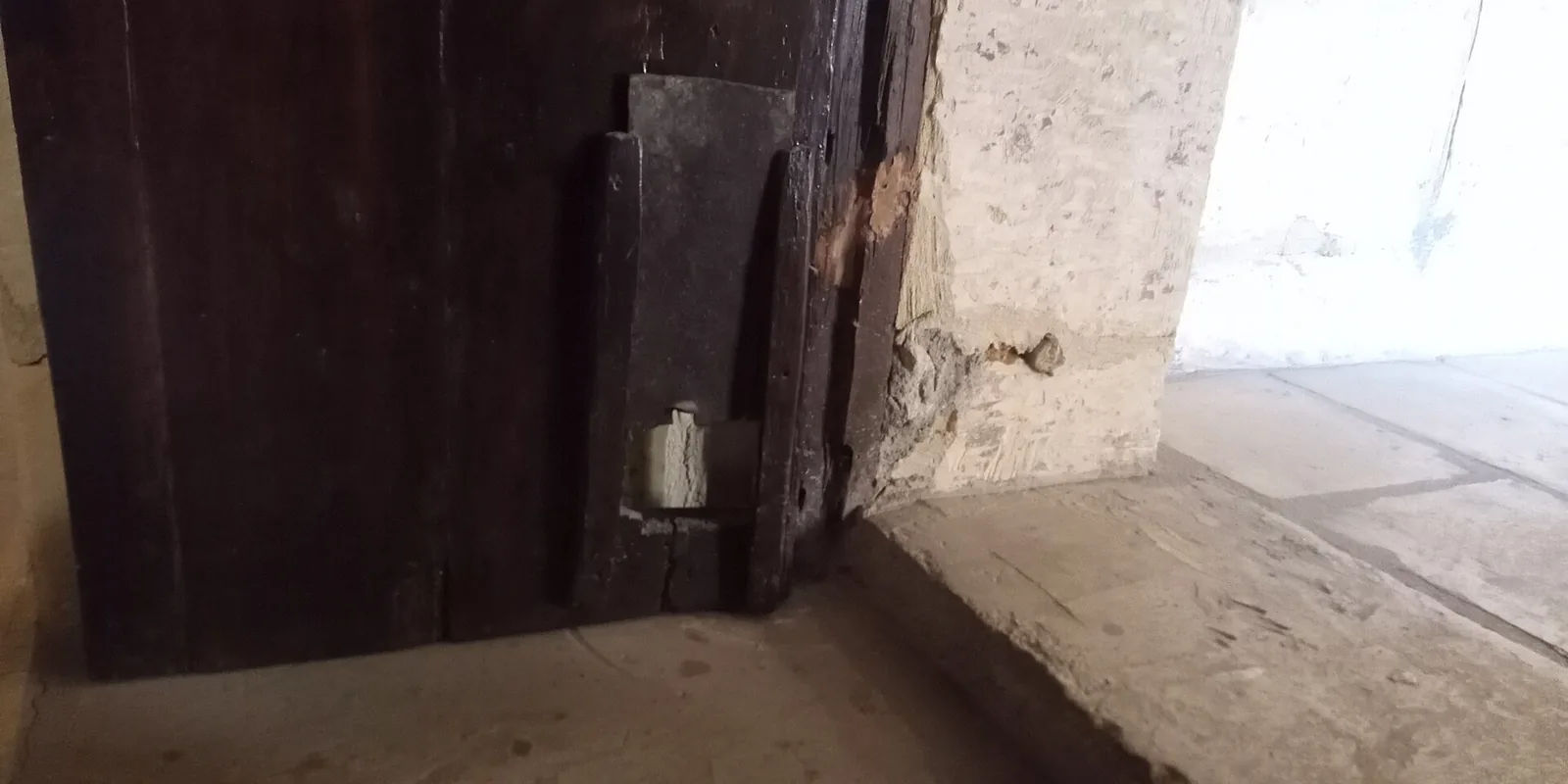 Exploring The Benefits Of Dog Flaps For Doors